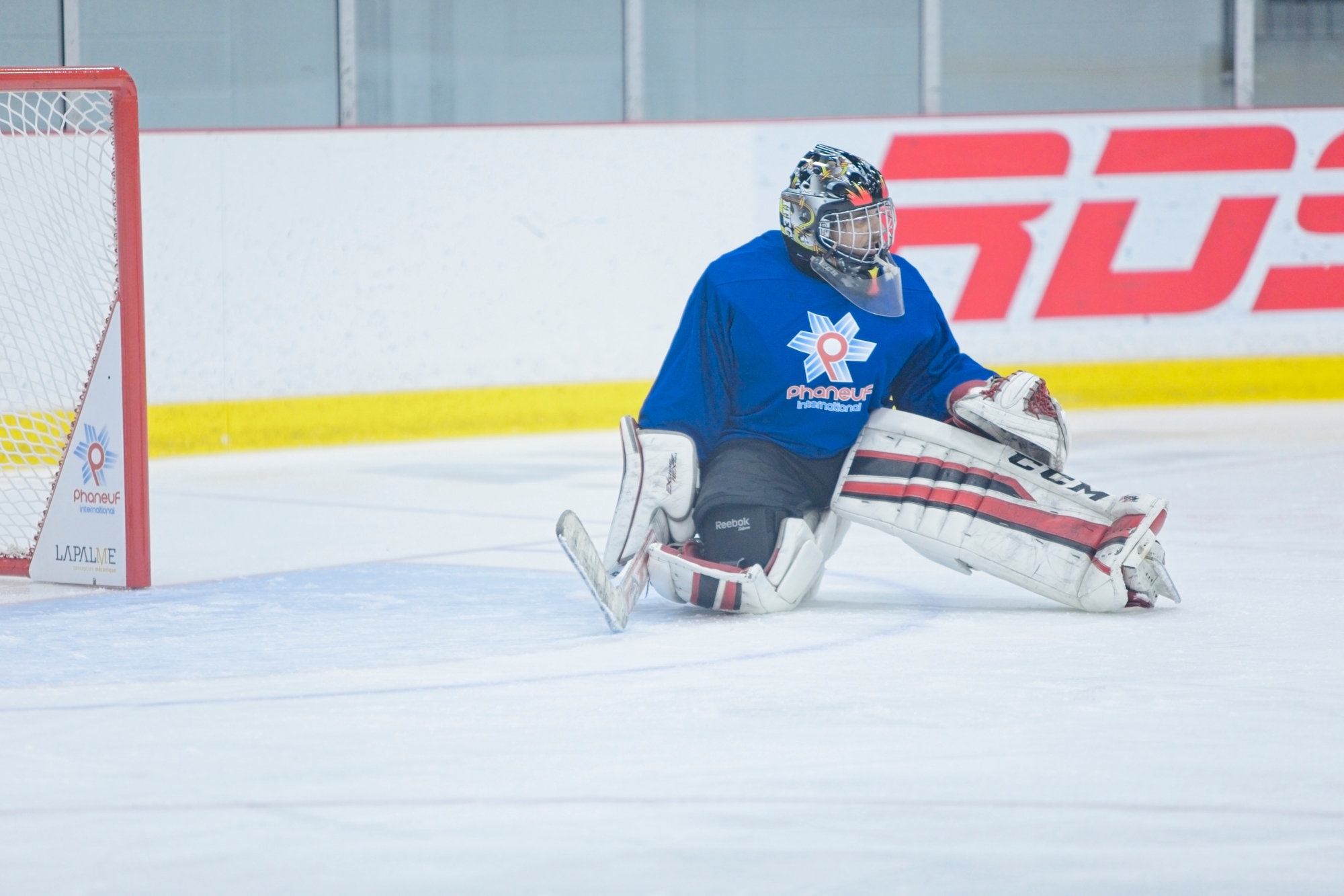 Smart Hockey Goals Goal System Phaneuf